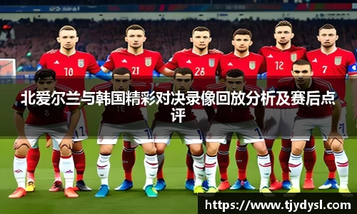 北爱尔兰与韩国精彩对决录像回放分析及赛后点评