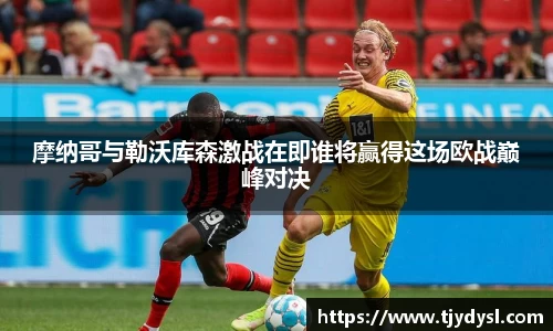 博鱼