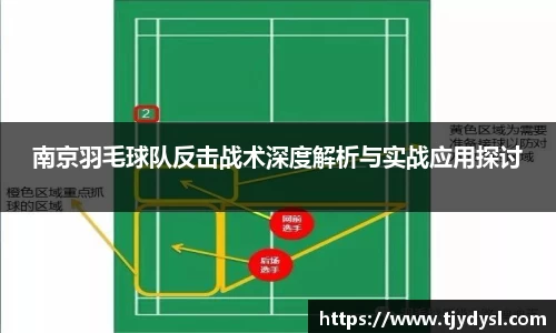 南京羽毛球队反击战术深度解析与实战应用探讨