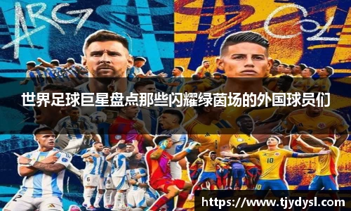 世界足球巨星盘点那些闪耀绿茵场的外国球员们